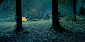 Save Carpathians