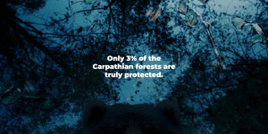 Save Carpathians