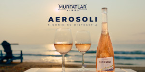AEROSOLI
