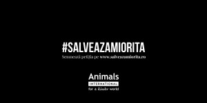 Salveaza Miorița